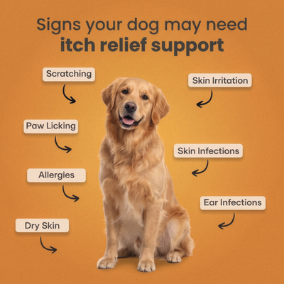 Chewable Tablets for Pets and Dogs
