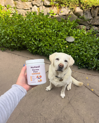 Chewable Tablets for Dogs