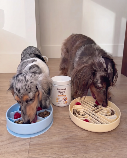 Chewable Tablets for Dogs
